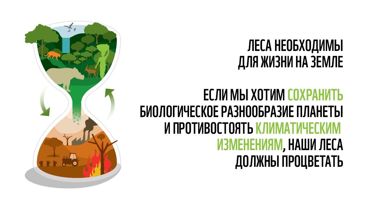 Эколого-ресурсный центр «EKOMAKTAB»